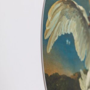 muurcirkel-eigen-foto-op-forex