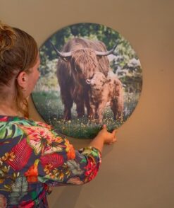 dibond-muurcirkel-schotsehooglander-ophangen